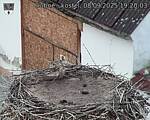 Capi_Dubne_20250908_192003.jpg