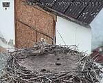 Capi_Dubne_20250908_192503.jpg