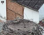 Capi_Dubne_20250908_193002.jpg