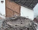 Capi_Dubne_20250908_193502.jpg