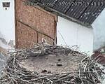 Capi_Dubne_20250908_194003.jpg