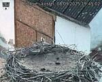 Capi_Dubne_20250908_194502.jpg