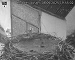 Capi_Dubne_20250908_195502.jpg