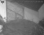Capi_Dubne_20250908_200502.jpg