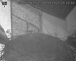 Capi_Dubne_20250908_201002.jpg