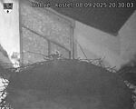 Capi_Dubne_20250908_203003.jpg