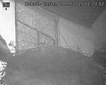 Capi_Dubne_20250909_012003.jpg