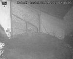 Capi_Dubne_20250909_024503.jpg