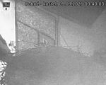 Capi_Dubne_20250909_034003.jpg