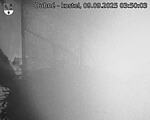 Capi_Dubne_20250909_035003.jpg