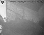 Capi_Dubne_20250909_040502.jpg