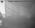 Capi_Dubne_20250909_041502.jpg