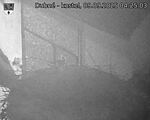 Capi_Dubne_20250909_042503.jpg