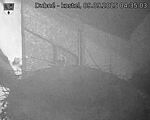 Capi_Dubne_20250909_043503.jpg