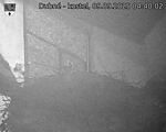 Capi_Dubne_20250909_044002.jpg