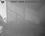 Capi_Dubne_20250909_044503.jpg