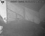 Capi_Dubne_20250909_045502.jpg