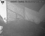 Capi_Dubne_20250909_050003.jpg