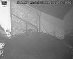 Capi_Dubne_20250909_051002.jpg