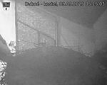 Capi_Dubne_20250909_051503.jpg
