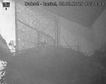 Capi_Dubne_20250909_052003.jpg