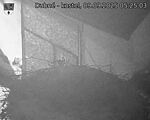 Capi_Dubne_20250909_052503.jpg