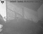 Capi_Dubne_20250909_053503.jpg
