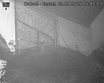 Capi_Dubne_20250909_054503.jpg