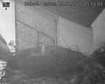 Capi_Dubne_20250909_055503.jpg