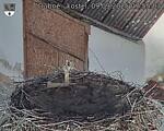 Capi_Dubne_20250909_075503.jpg