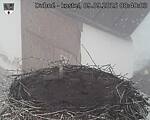 Capi_Dubne_20250909_084003.jpg