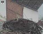 Capi_Dubne_20250909_090503.jpg