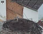 Capi_Dubne_20250909_091503.jpg