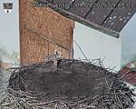 Capi_Dubne_20250909_094003.jpg