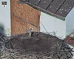 Capi_Dubne_20250909_094503.jpg