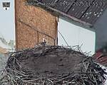 Capi_Dubne_20250909_115503.jpg