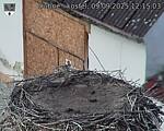 Capi_Dubne_20250909_121503.jpg