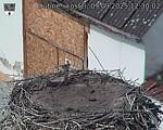 Capi_Dubne_20250909_123002.jpg