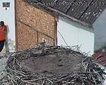 Capi_Dubne_20250909_125003.jpg