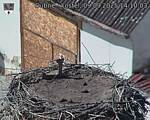 Capi_Dubne_20250909_141003.jpg
