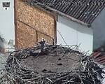 Capi_Dubne_20250909_142003.jpg
