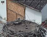 Capi_Dubne_20250909_144003.jpg