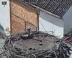 Capi_Dubne_20250909_151003.jpg