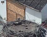 Capi_Dubne_20250909_152502.jpg
