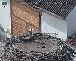 Capi_Dubne_20250909_154003.jpg