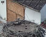 Capi_Dubne_20250909_154502.jpg
