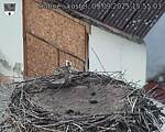 Capi_Dubne_20250909_155503.jpg