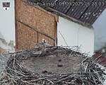 Capi_Dubne_20250909_162003.jpg