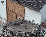 Capi_Dubne_20250909_163003.jpg