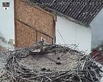 Capi_Dubne_20250909_164003.jpg